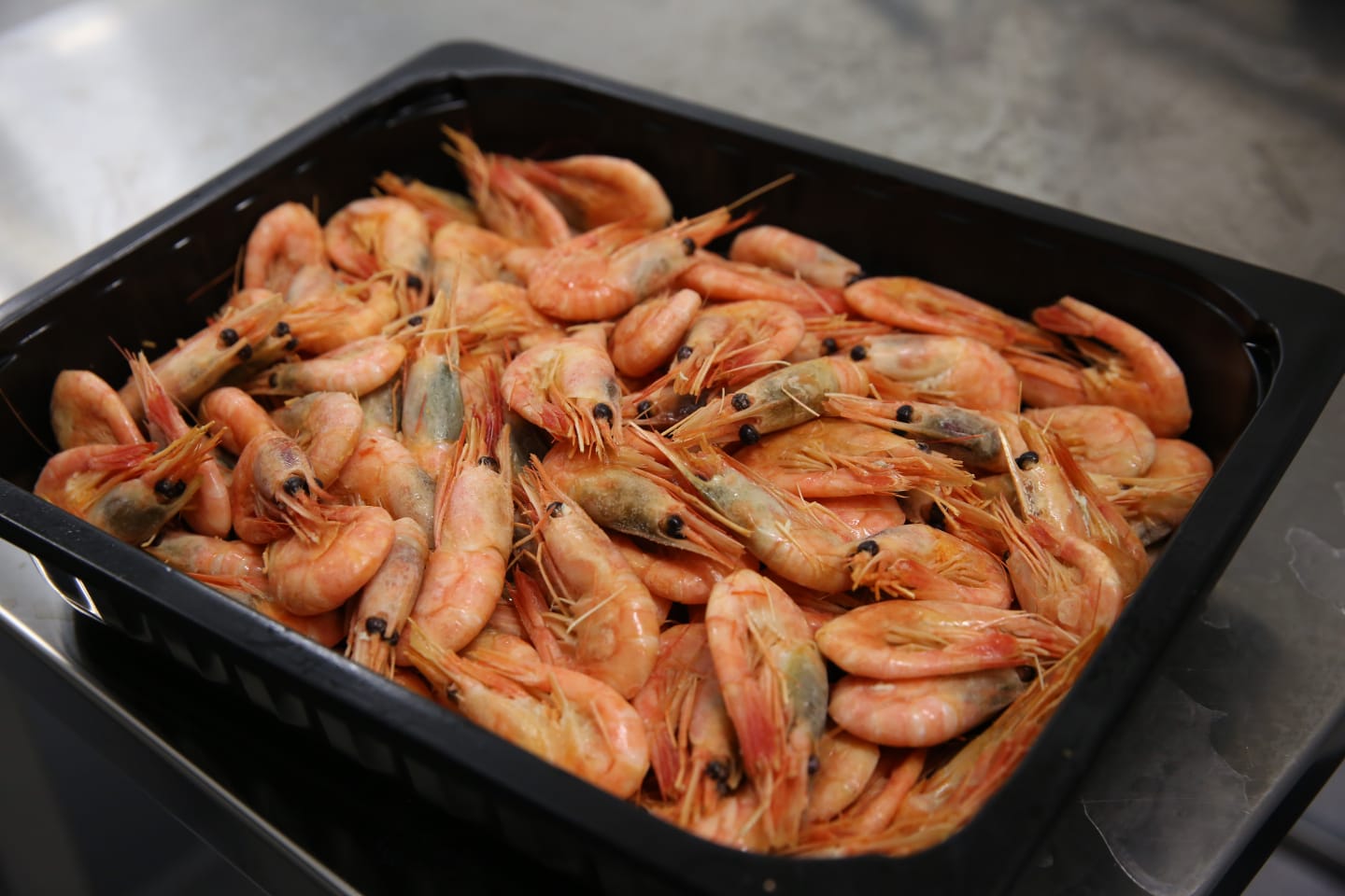 Welcome to Fiskhallen Sorunda, the sustainable supplier of seafood to restaurants and catering markets