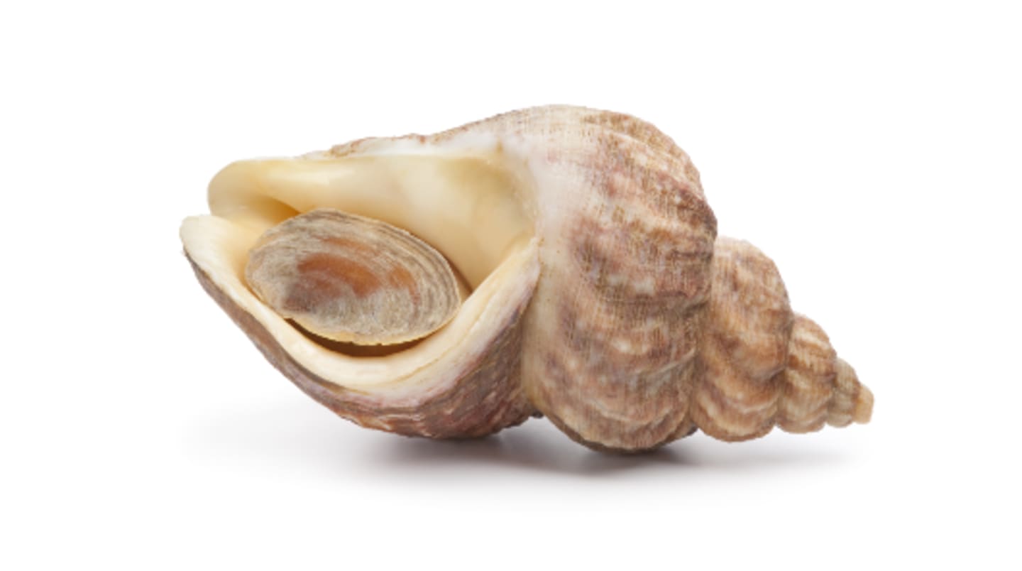 Vårt ansvar och våra värderingar