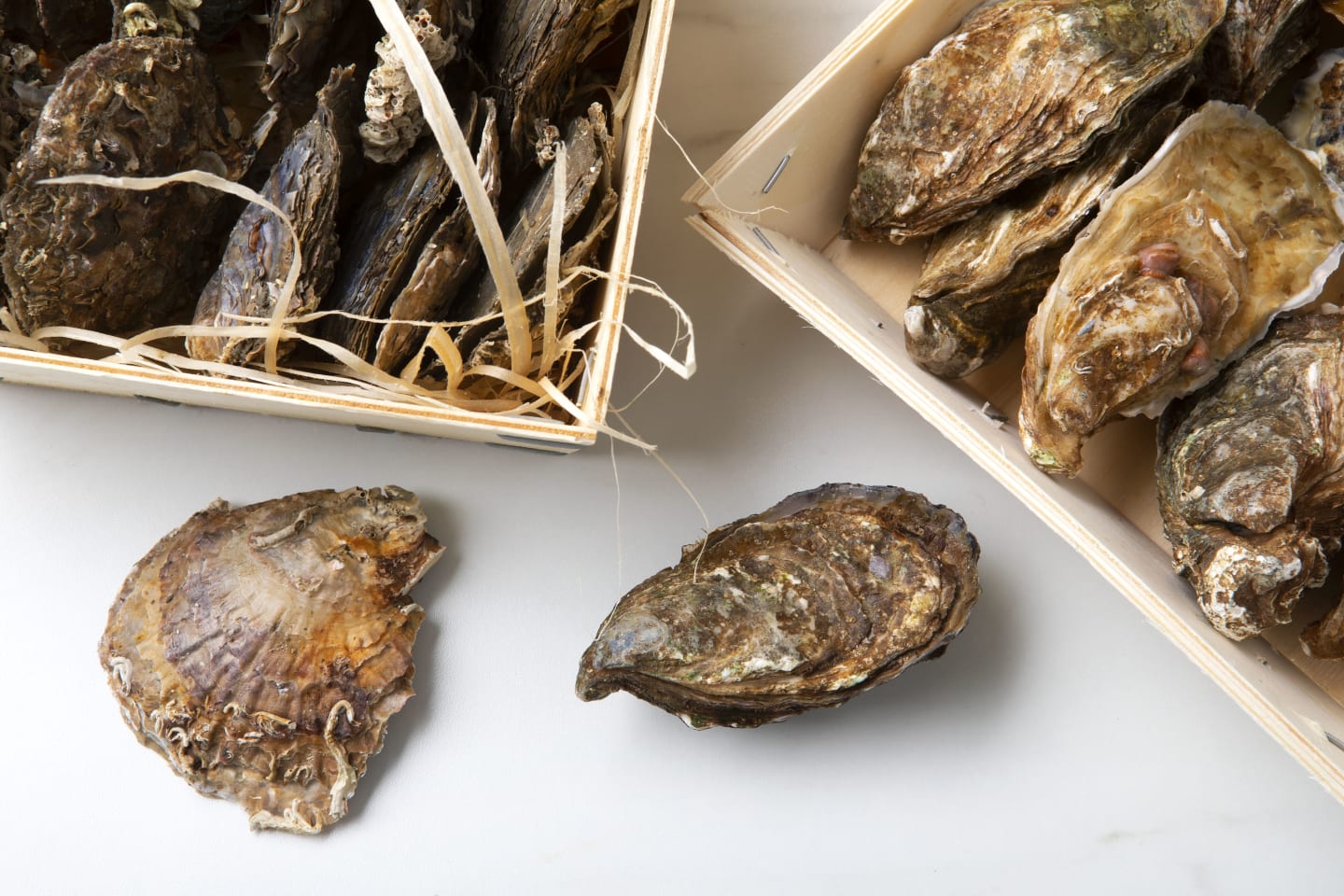 Mer hållbara tillsammans!