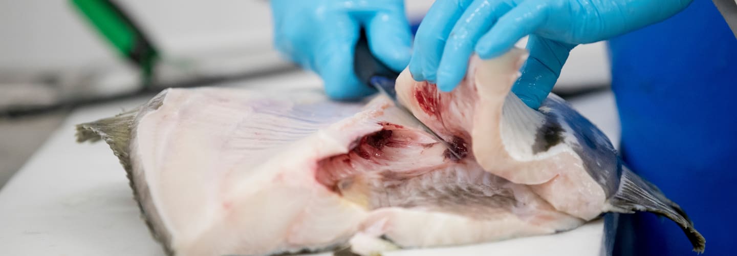 Hållbart erbjudande