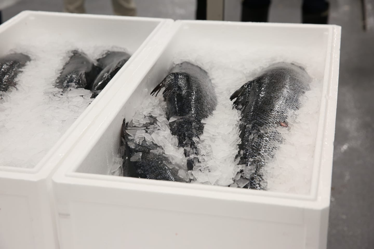 Chain of custody for ASC