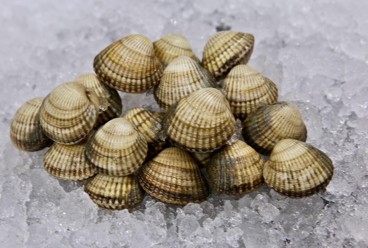 Välkommen till nya fiskhallen.se