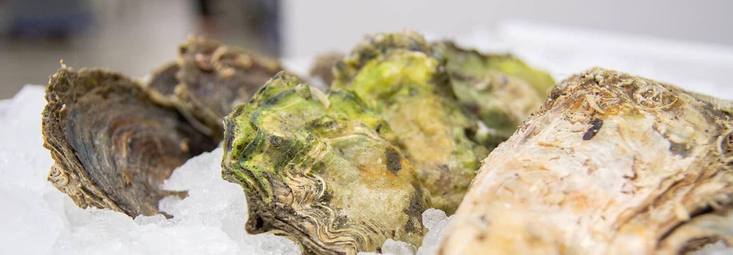 Välkommen till Fiskhallen Sorunda