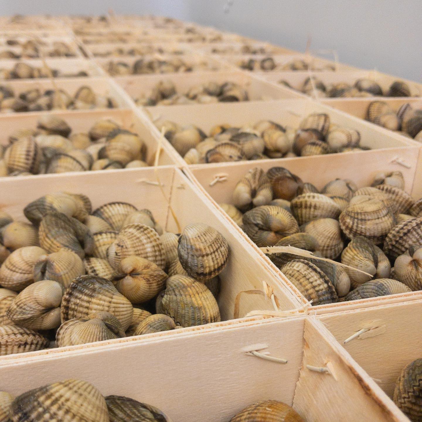 Att välja sin favorit bland skaldjuren är omöjligt. Alla är unika på sitt sätt. Men en sak är jag noga med, alla våra skaldjur ska hålla högsta kvalitén. Annars får det vara.