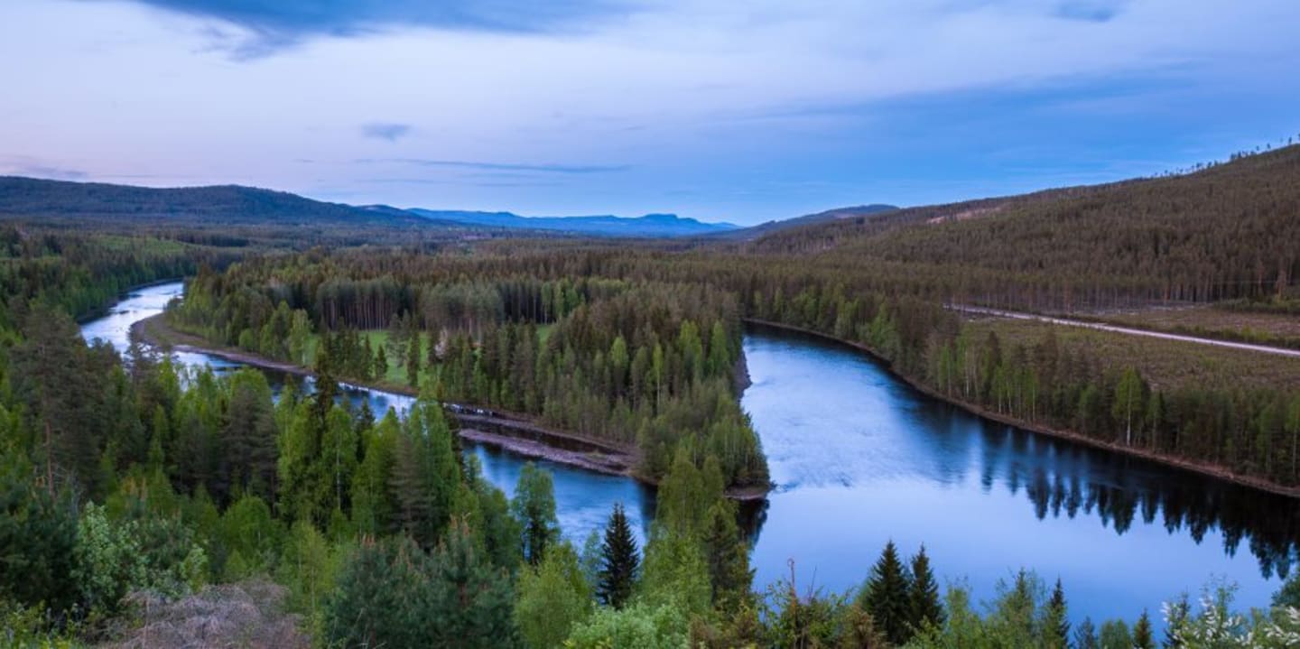 Våra fantastiska fiskare